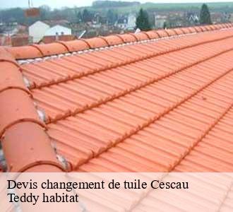 Devis changement de tuile