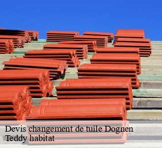 Devis changement de tuile