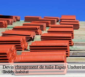 Devis changement de tuile