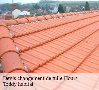 Devis changement de tuile