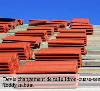 Devis changement de tuile