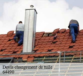 Devis changement de tuile