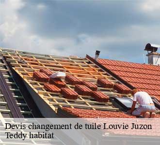 Devis changement de tuile