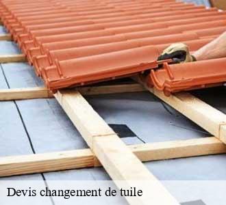 Devis changement de tuile