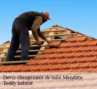 Devis changement de tuile