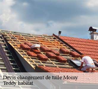Devis changement de tuile