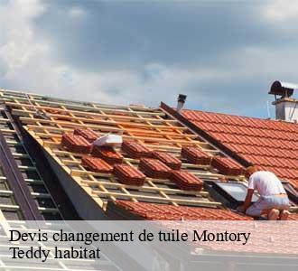 Devis changement de tuile