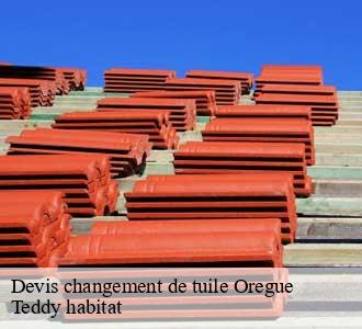 Devis changement de tuile