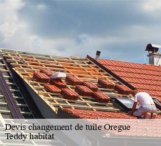 Devis changement de tuile