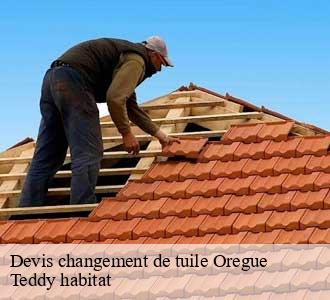 Devis changement de tuile