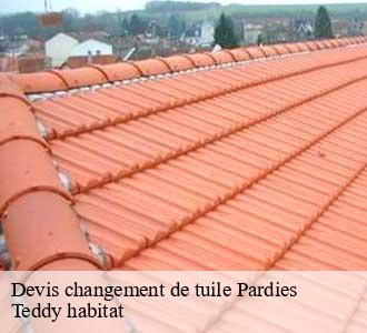 Devis changement de tuile