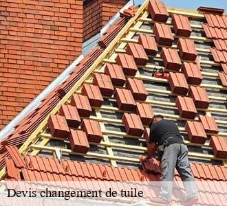 Devis changement de tuile