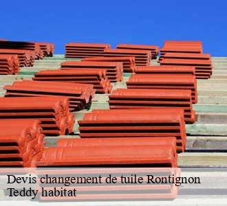 Devis changement de tuile