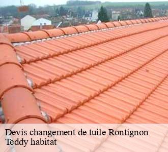 Devis changement de tuile