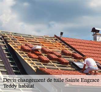 Devis changement de tuile