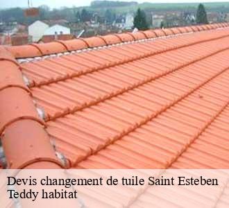 Devis changement de tuile