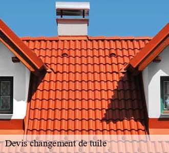 Devis changement de tuile