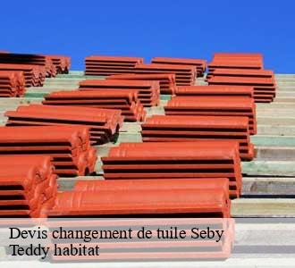 Devis changement de tuile