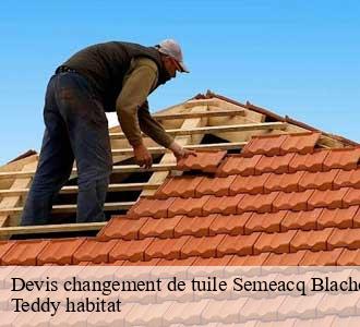 Devis changement de tuile