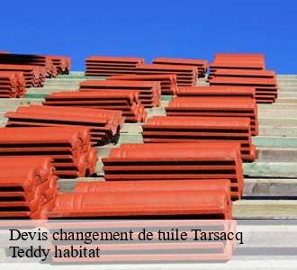 Devis changement de tuile