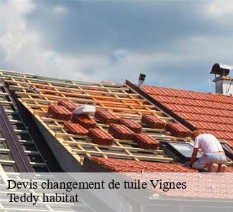 Devis changement de tuile