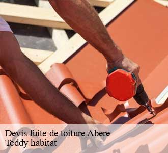 Devis fuite de toiture