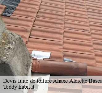 Devis fuite de toiture