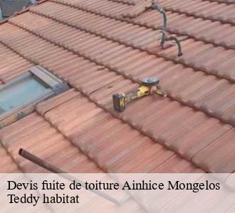 Devis fuite de toiture