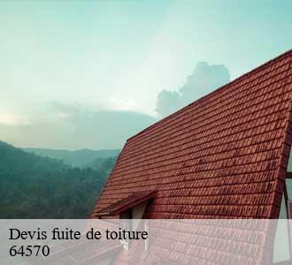 Devis fuite de toiture