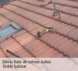 Devis fuite de toiture