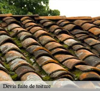 Devis fuite de toiture