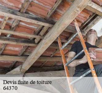 Devis fuite de toiture