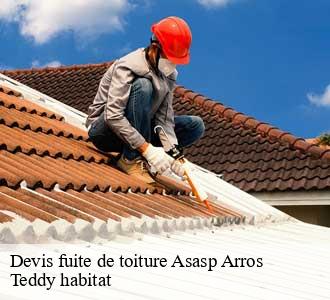 Devis fuite de toiture