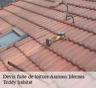 Devis fuite de toiture