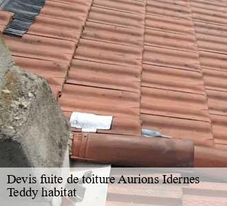 Devis fuite de toiture