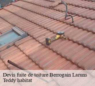 Devis fuite de toiture