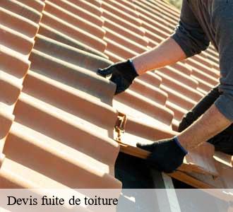 Devis fuite de toiture