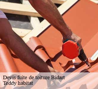 Devis fuite de toiture