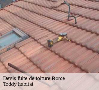 Devis fuite de toiture