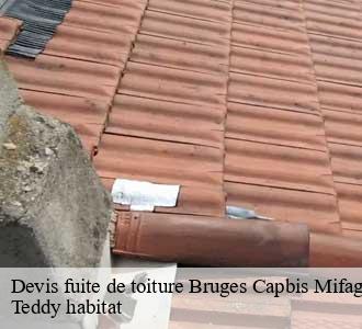 Devis fuite de toiture