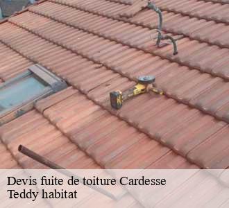 Devis fuite de toiture
