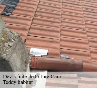Devis fuite de toiture
