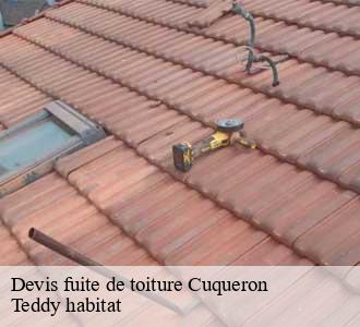 Devis fuite de toiture