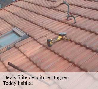 Devis fuite de toiture