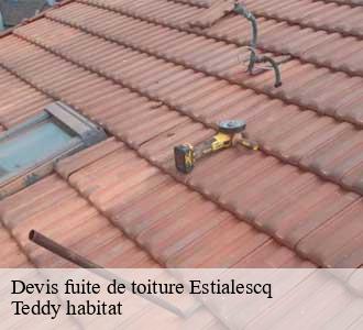 Devis fuite de toiture