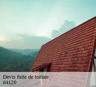 Devis fuite de toiture