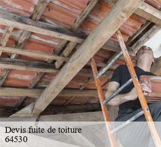 Devis fuite de toiture