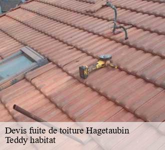 Devis fuite de toiture