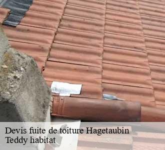 Devis fuite de toiture