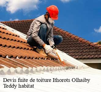 Devis fuite de toiture